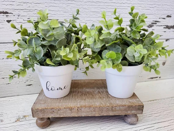 Potted Greenery  Tiered Tray Decor | Etsy | Etsy (US)