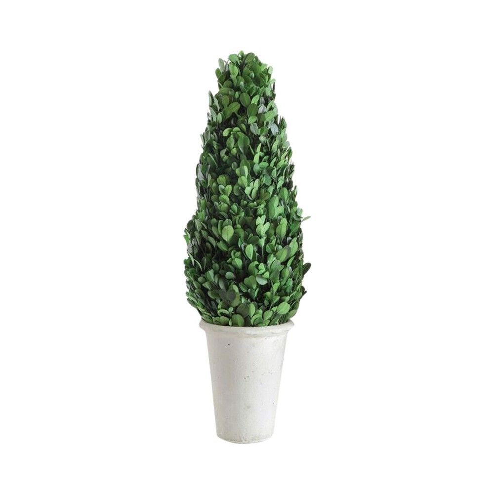 Boxwood Cone Topiary - 3R Studios, Green | Target