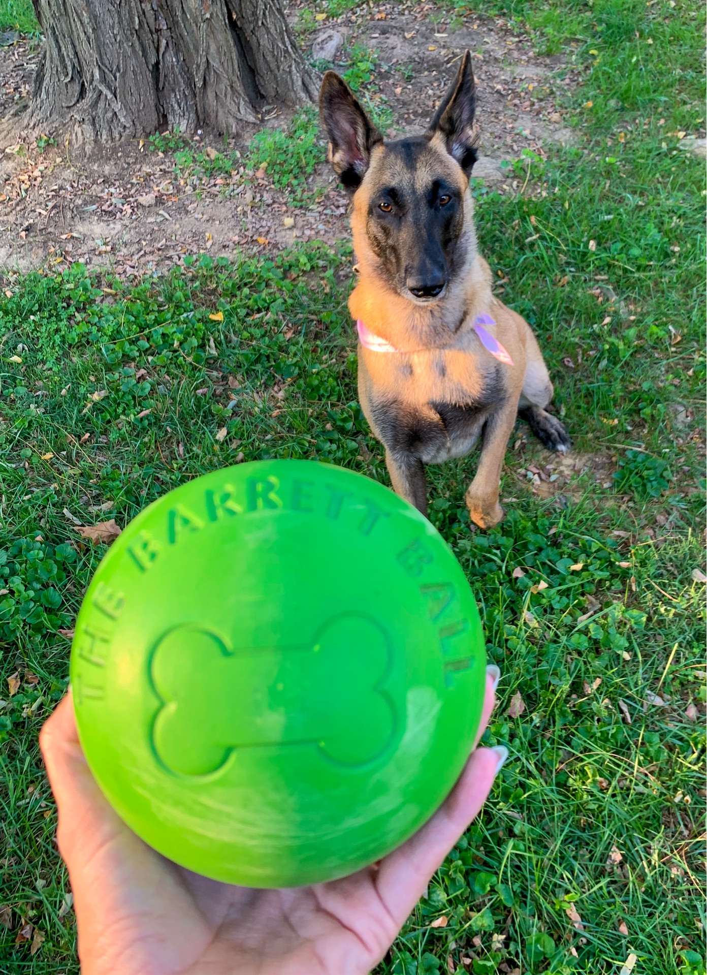 virtually indestructible, huh? 
We’ll be the judge of that 😌

#LTKSeasonal #LTKCon #LTKfamily