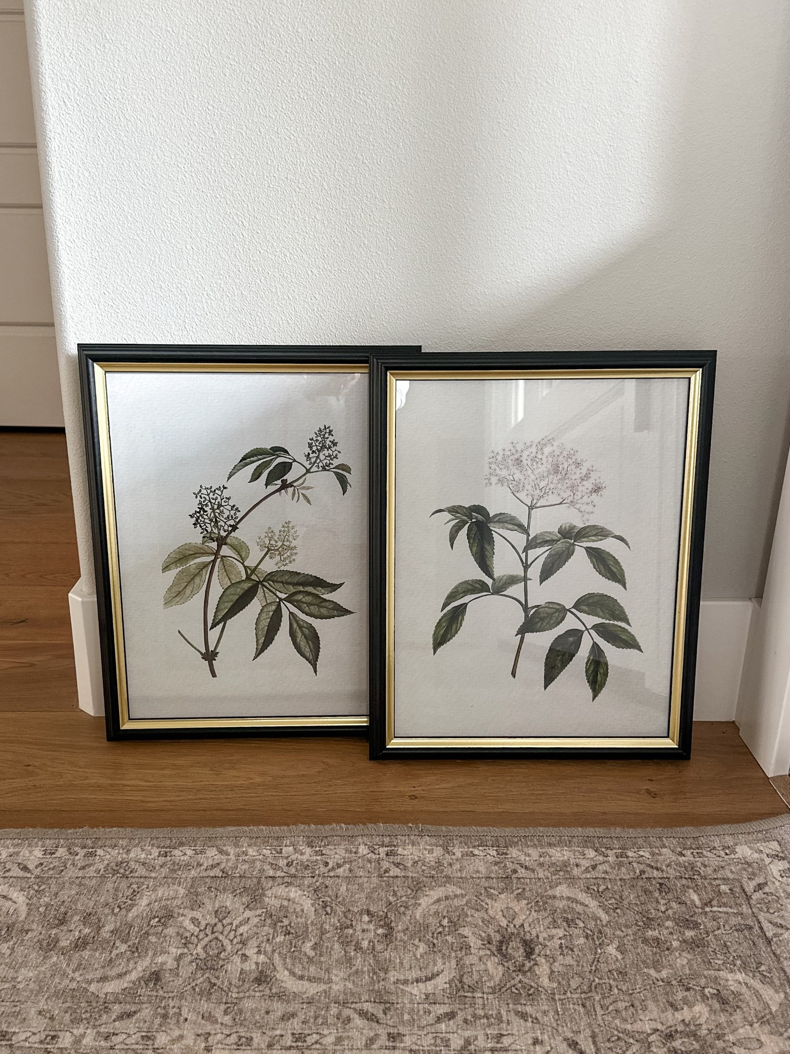 Dupe for the Pottery Barn botanical framed artwork — but on a Target budget! 

Target black and gold frame in 11x14, artwork for Etsy, and mpix to print an 11x14 print. Instead of $179 for the pottery barn version, it’s $53 each!

#LTKFindsUnder100 #LTKFindsUnder50 #LTKHome