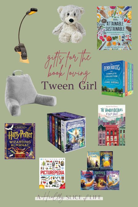 2023 Top Gifts for the Book Loving TWEEN!

#LTKGiftGuide