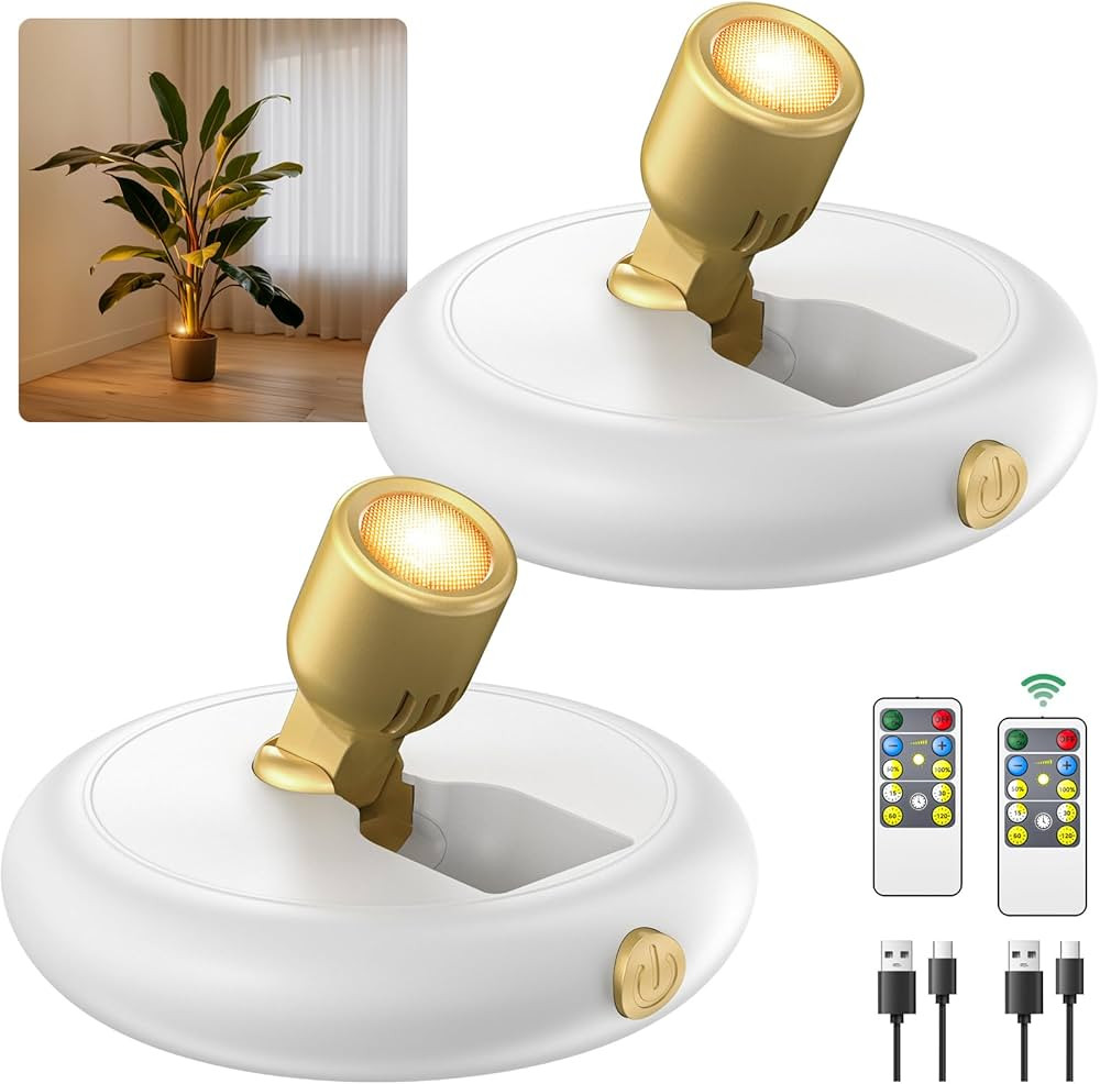 Rechargeable Battery LED Spotlight Indoor: Wireless Mini Art Accent Spot Lights with Timer Remote... | Amazon (US)