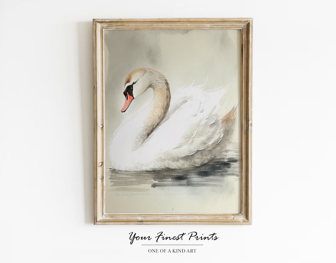 Vintage Swan Watercolor | Neutral Rustic Country Wall Art | Bird Art Sketch | Minimalist Painting... | Etsy (US)
