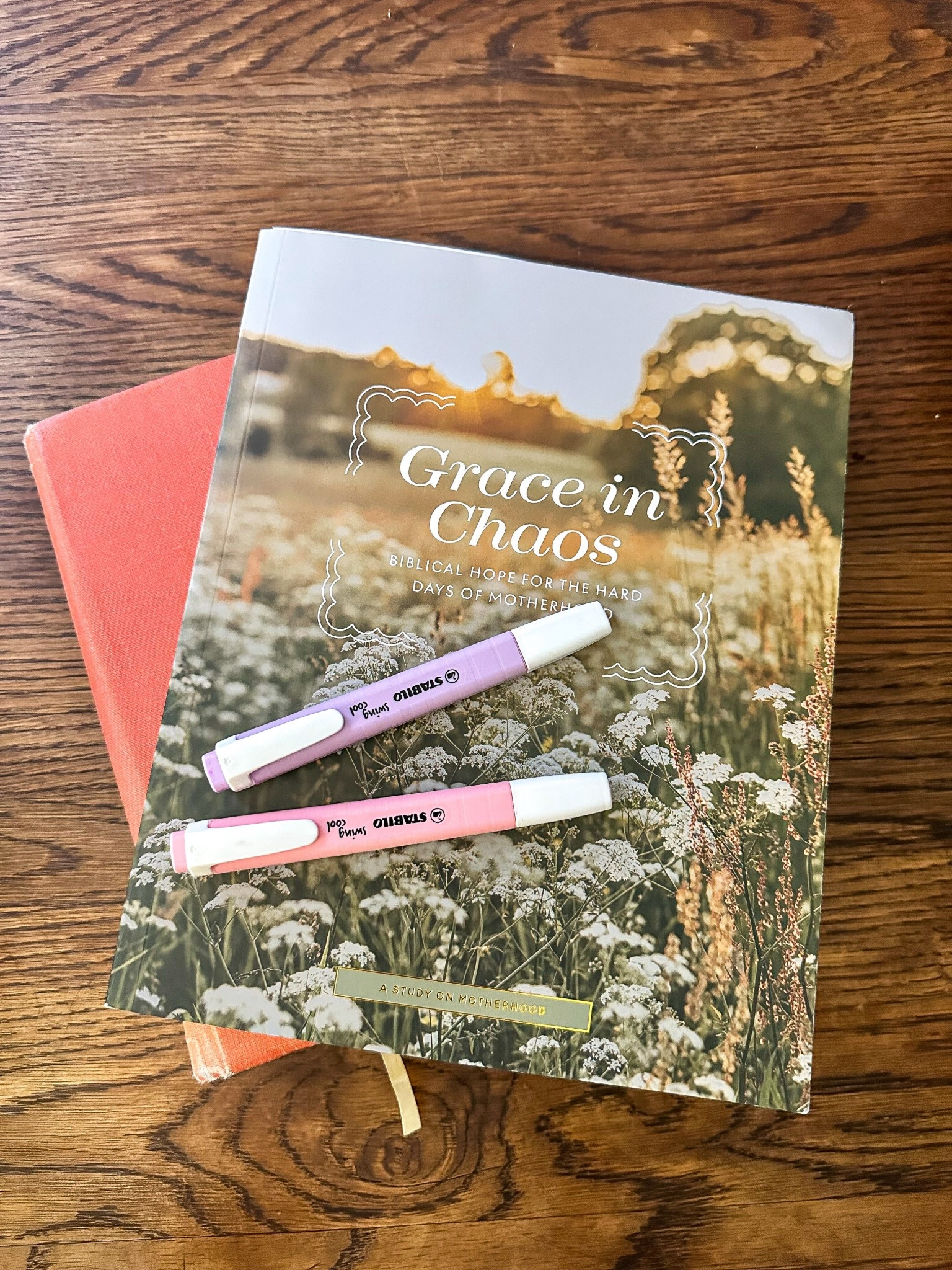 I have been LOVING this Bible study during this season of motherhood. It’s one I will be coming back to again and again for years to come. Plus, it’s super pretty 

#LTKFamily #LTKGiftGuide #LTKBaby