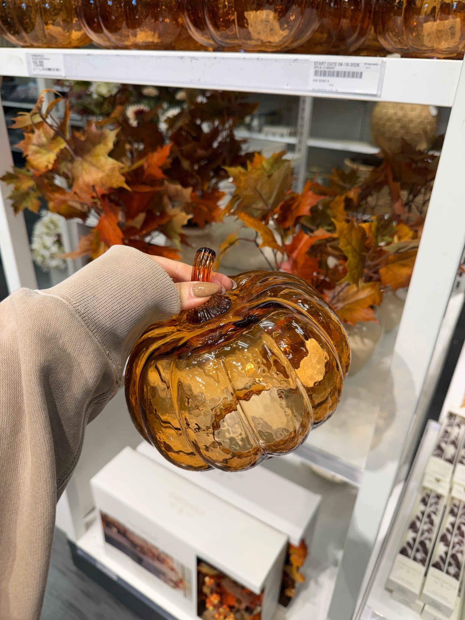 Glass pumpkins are trending this year 🎃

#LTKSeasonal #LTKHome #LTKdayinmylife