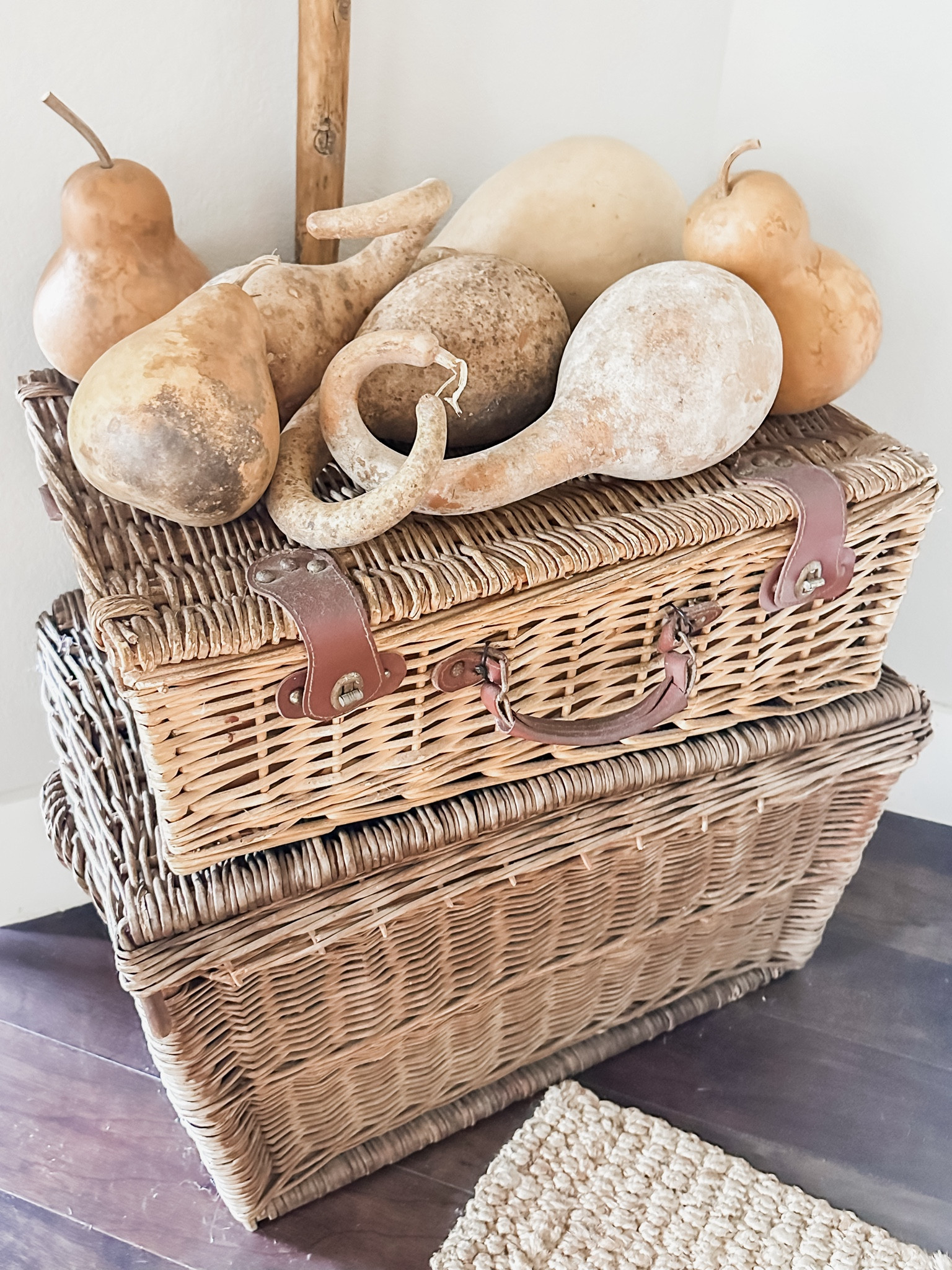 Gourds and vintage baskets are a few of my favorite things!

These beautiful elements make the perfect fall decor display. 

#falldecor #falldecorating #gourds #baskets #vintagebaskets #falldisplay 




#LTKHome #LTKStyleTip #LTKSeasonal