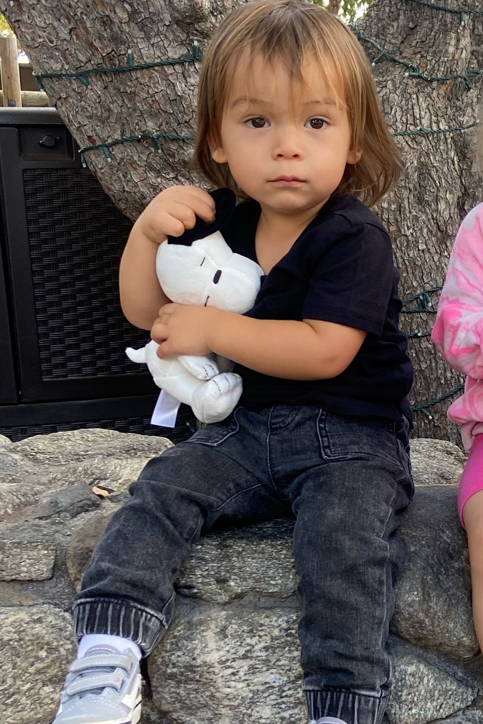 Toddler Jogger/pants 

#LTKfindsunder50 #LTKfamily #LTKkids