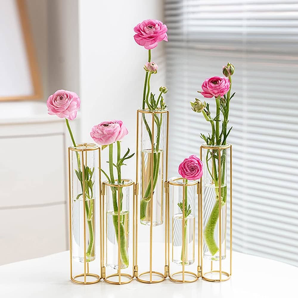 Bigsee Test Tube Vase for Flowers, Glass Vase with Metal Stand Racks Hydroponic Test Tube Vase Se... | Amazon (US)
