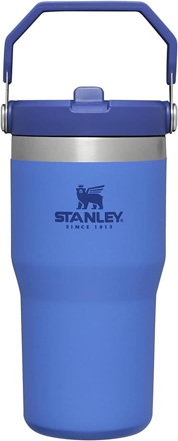 STANLEY IceFlow Stainless Steel Tumbler with Straw, Vacuum Insulated Water Bottle for Home, Offic... | Amazon (US)