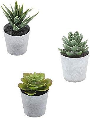 Artificial Succulents set of 3 mini Realistic Fake Plants with plastic Pots for Home and Office D... | Amazon (US)