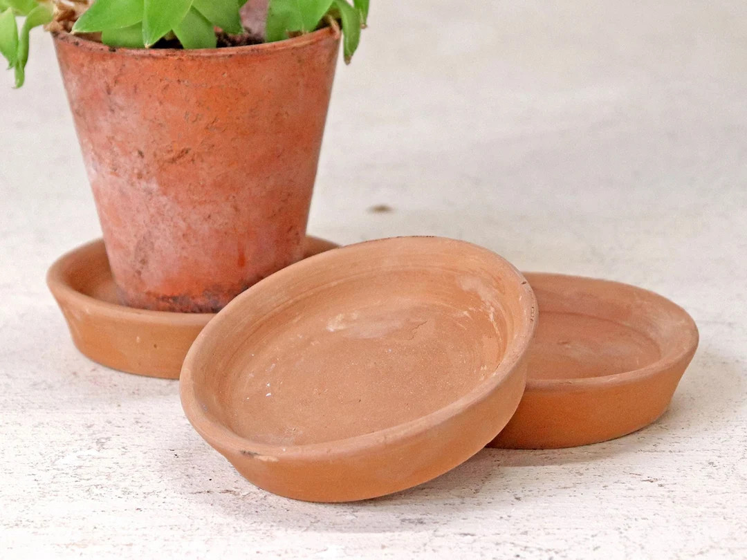 Terracotta Saucer | Etsy (US)