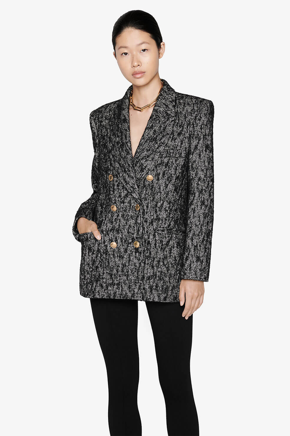 Dionne Blazer | Anine Bing