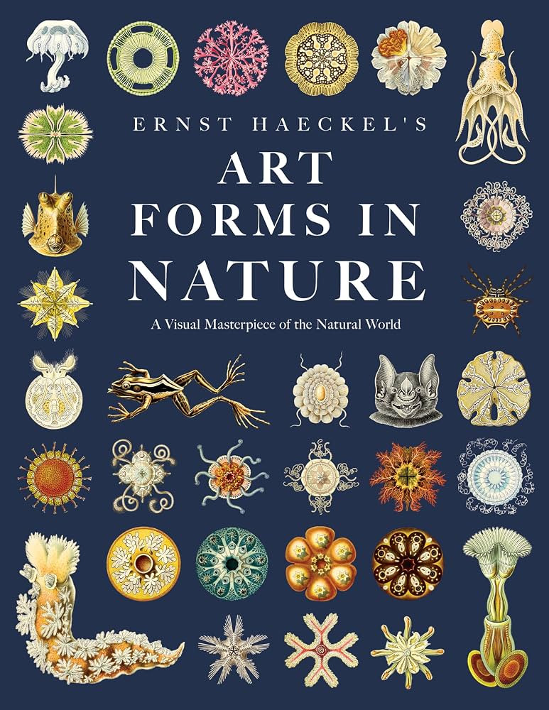 Ernst Haeckel's Art Forms in Nature: A Visual Masterpiece of the Natural World | Amazon (US)