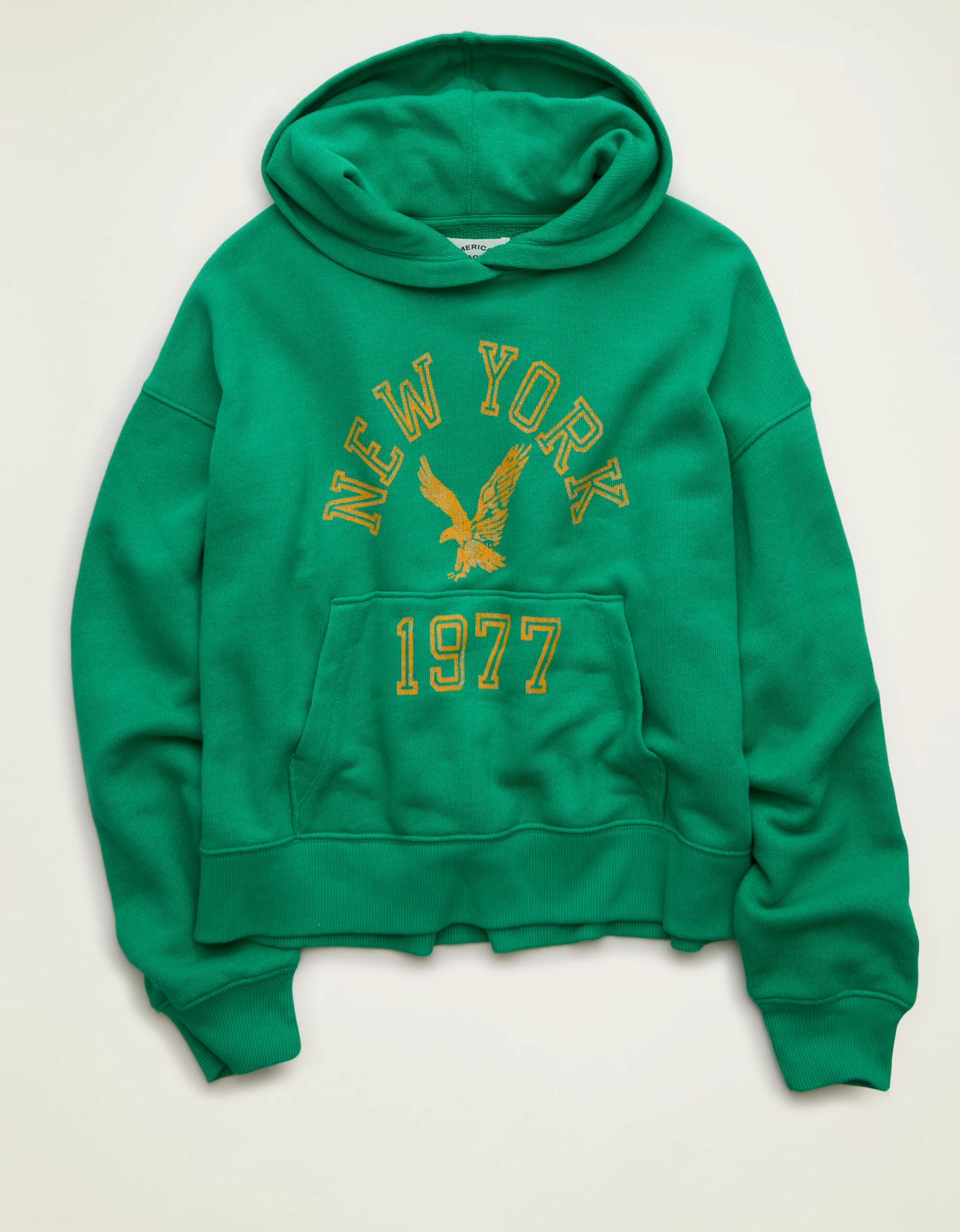 AE Campus Hoodie | American Eagle Outfitters (US & CA)