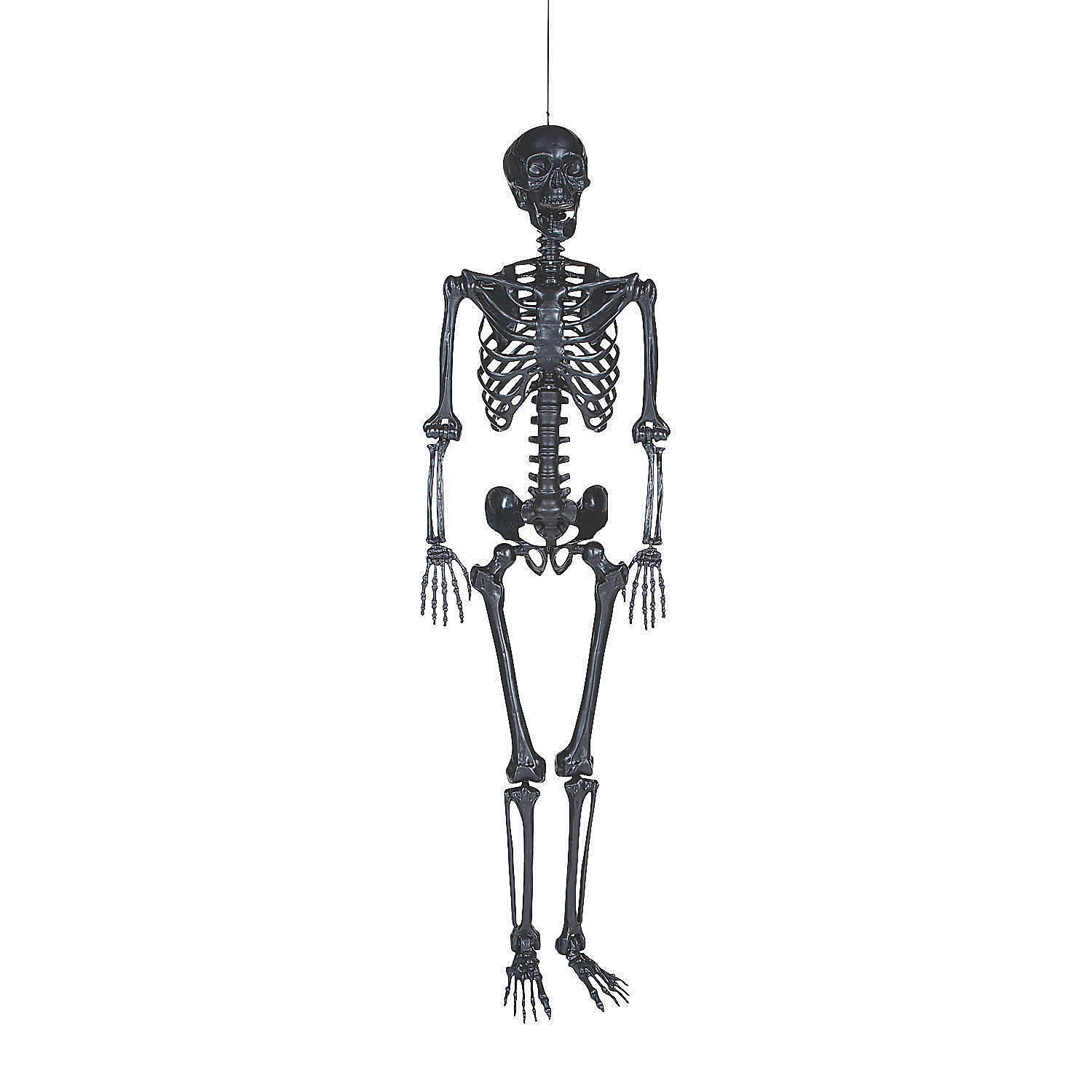 Life Size Poseable Skeleton Figurine | Wayfair North America