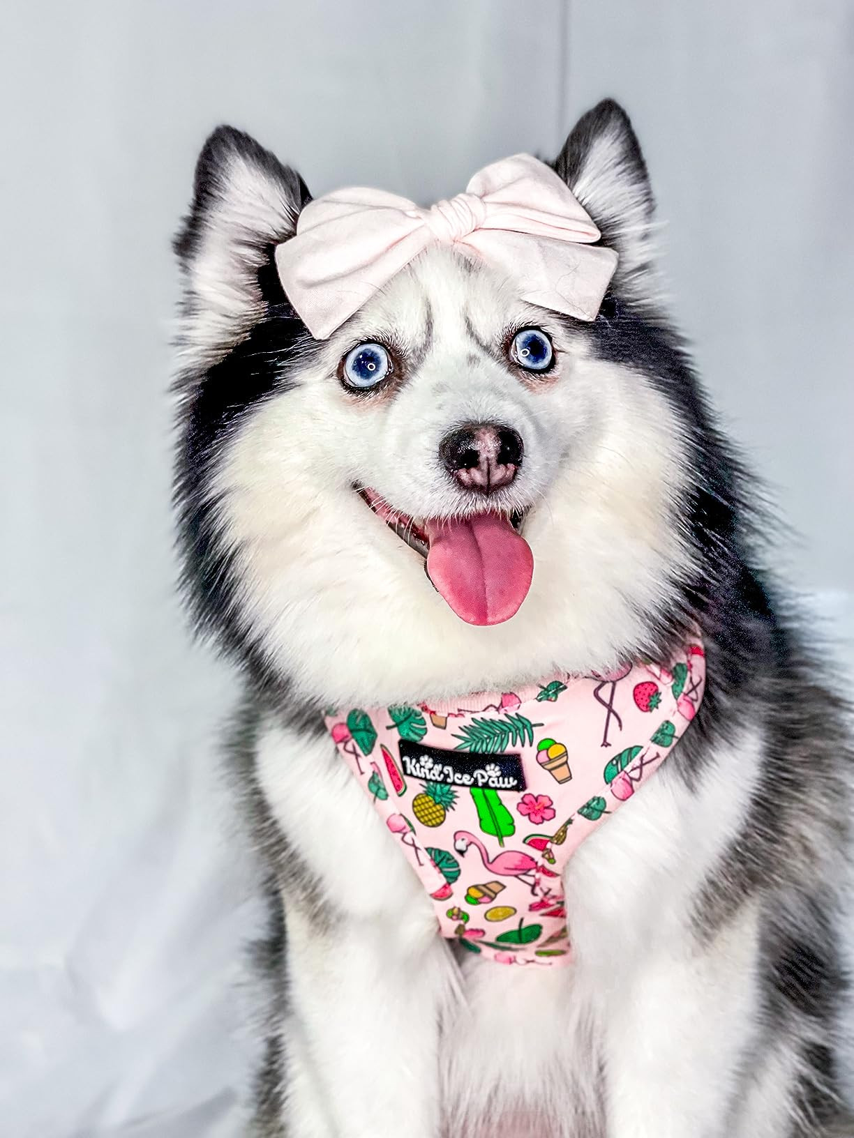 Adjustable Dog Harness in for Every Pup - Kind'Ice paw Collection (Safari pup, M) | Amazon (US)