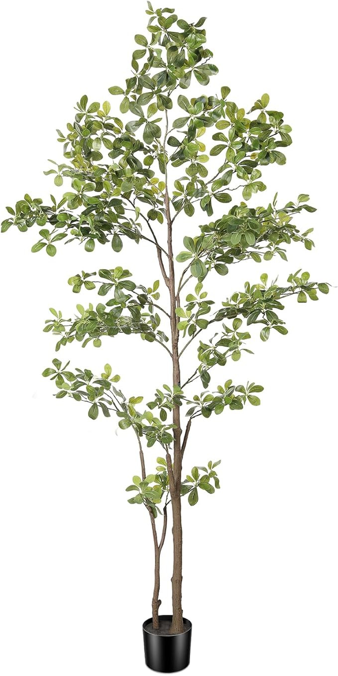 Faux Black Olive Tree 7ft, Artificial Olive Trees with Natural Trunk and Realistic Leaves, 7 Feet... | Amazon (US)