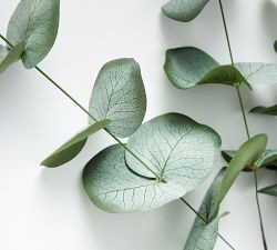 Faux Baby Blue Eucalyptus Branch | Pottery Barn (US)