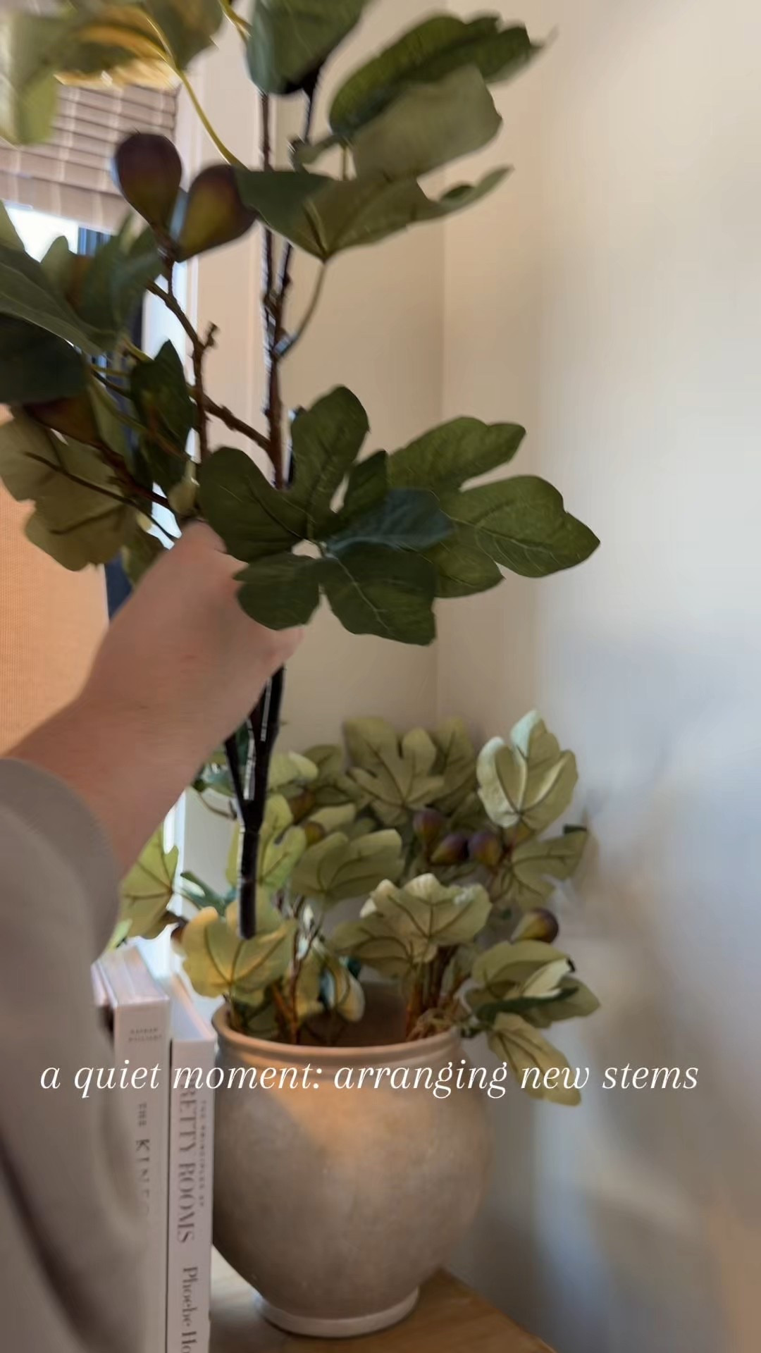 New stems, new vases, instant serotonin 🍃🌳 Why does putting flowers in vases feel like a mini life reset? 

#LTKHome