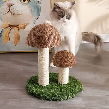 Cat Scratching Post - Mushroom Cat Scratcher Featuring with Natural Sisal Caps Scratch Pole and S... | Amazon (US)
