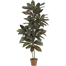 Nearly Natural 6580 Cordyline Silk Plant Real Touch, 5-Feet, Green | Amazon (CA)