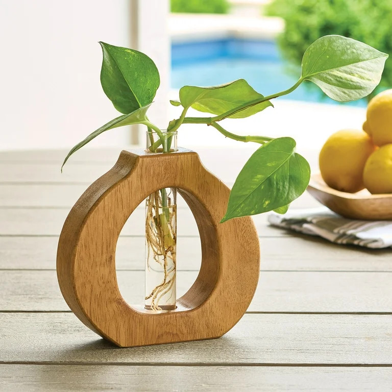 Better Homes & Gardens Wood and Glass Round Propagation Station | Walmart (US)