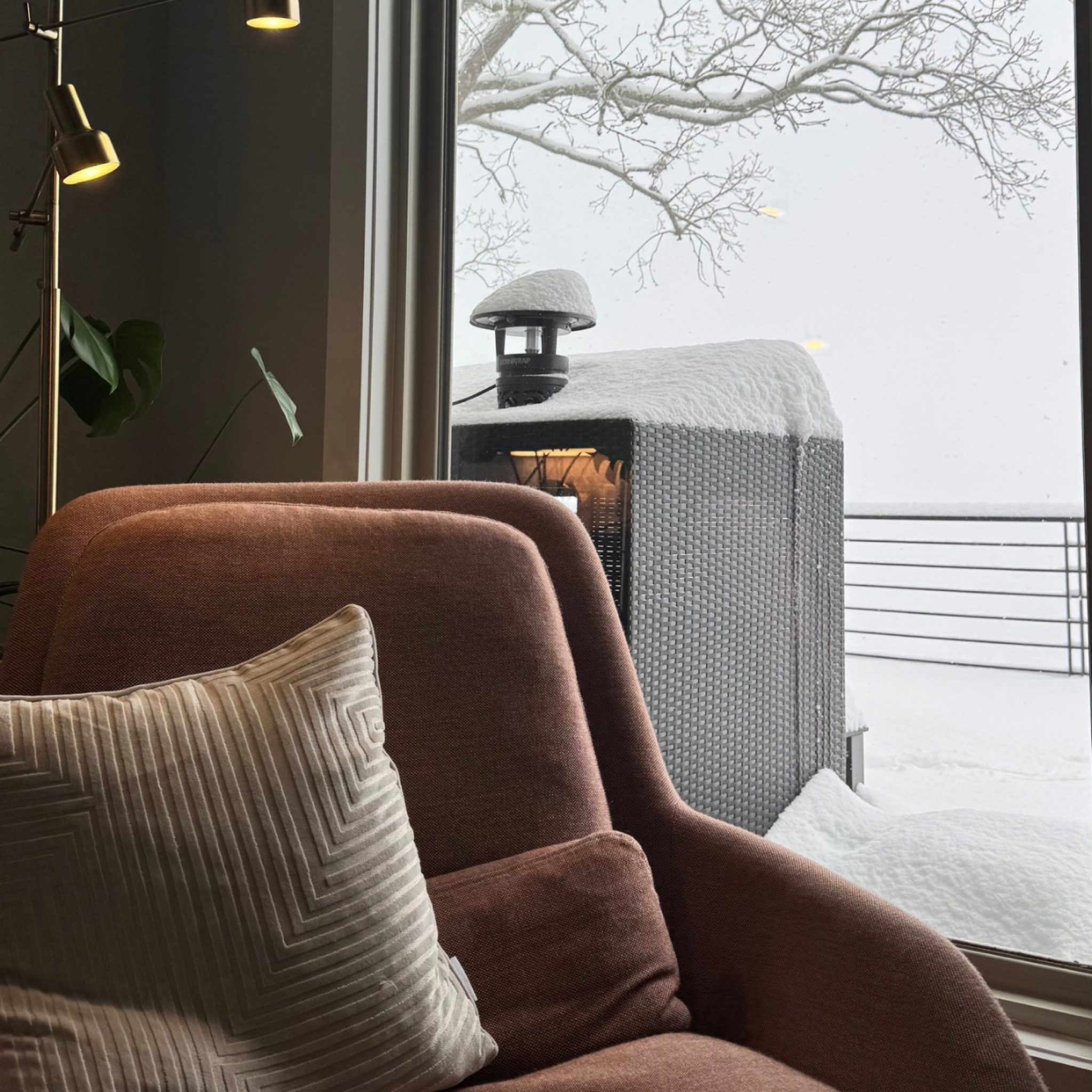 Snowy day vibes with the Blu Dot Field Lounge Chair in tomato.

#LTKHome #LTKFamily