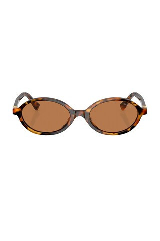 Miu Miu Oval Sunglasses in Brown | FWRD 
