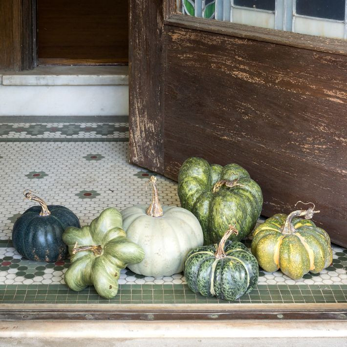 Heirloom Pumpkins (Set of 6) | West Elm (US)