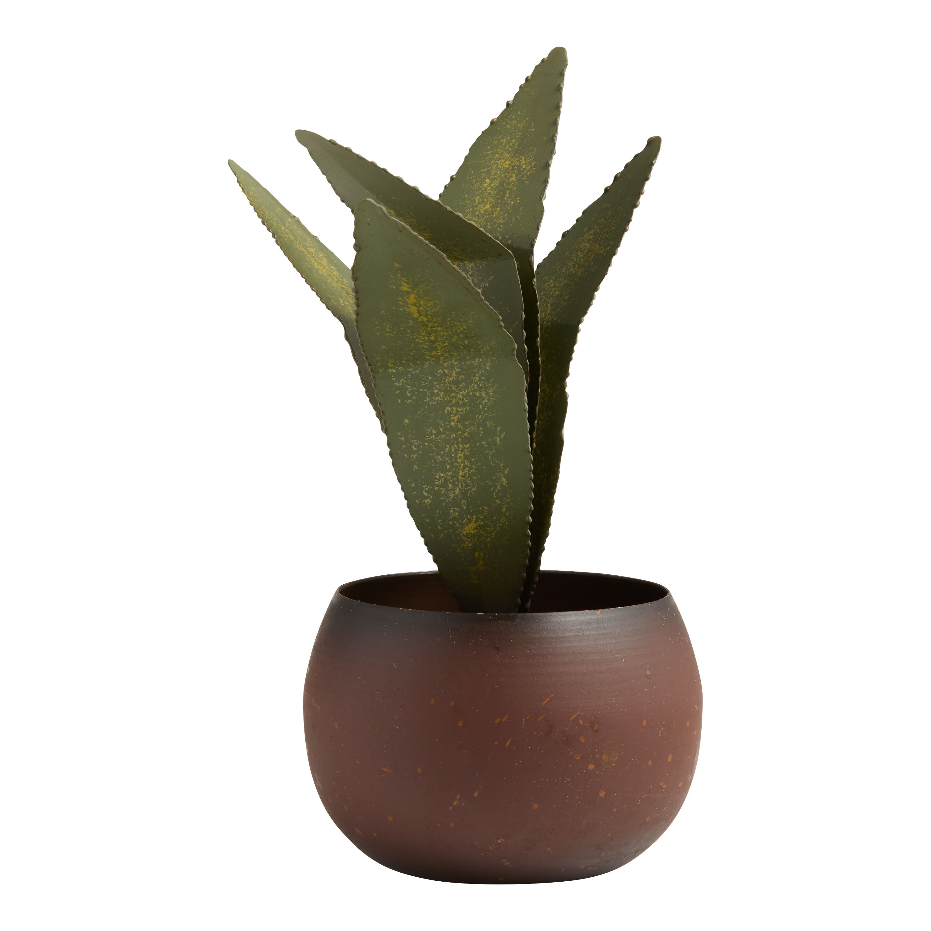 Metal Potted Aloe Vera Plant | World Market