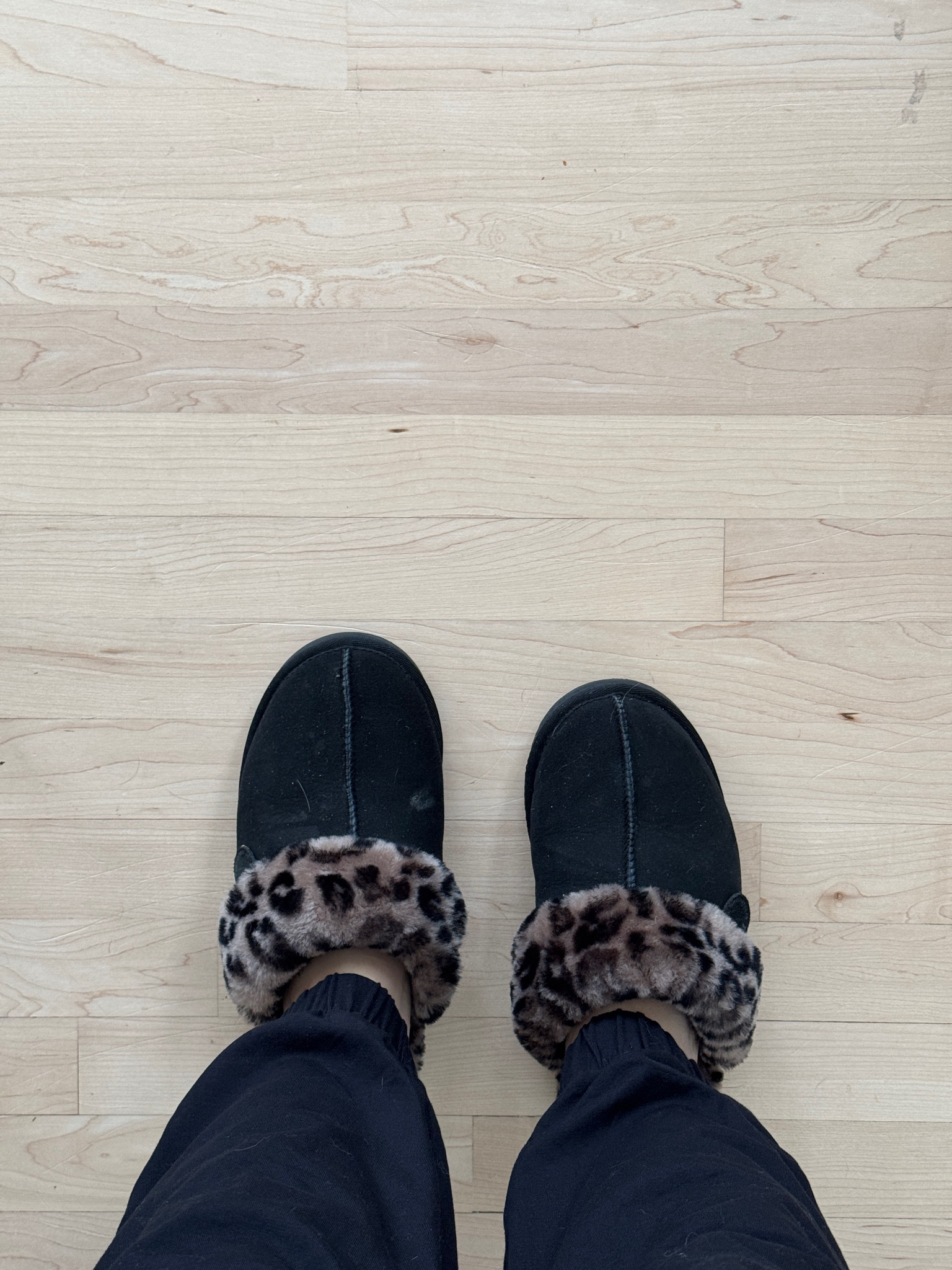 Ugg dupes 