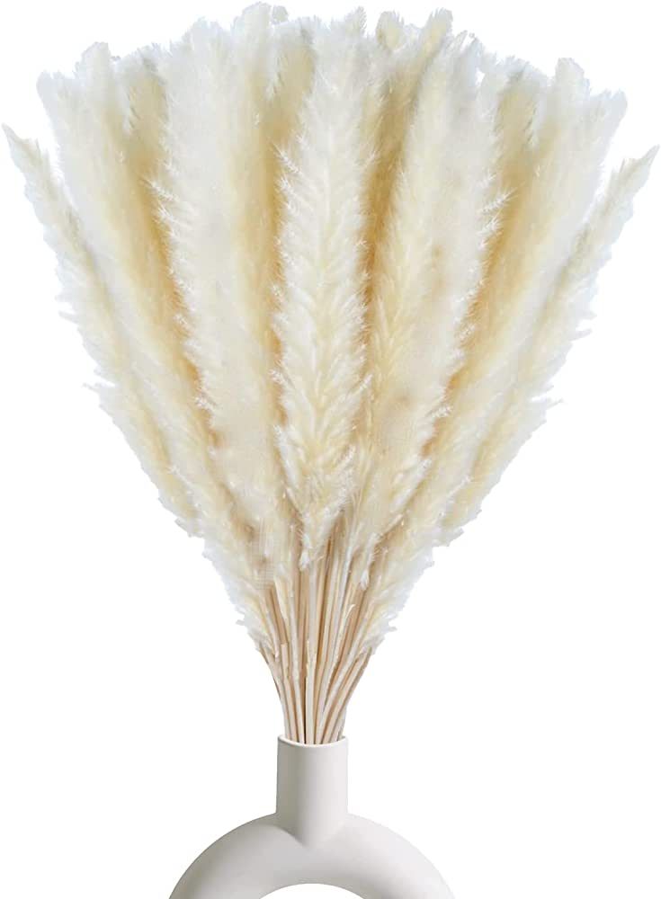 30 Pcs White Pampas Grass ,17 inch/45 cm Natural Dried Pampas Grass Branches Decor for Home Kitch... | Amazon (US)