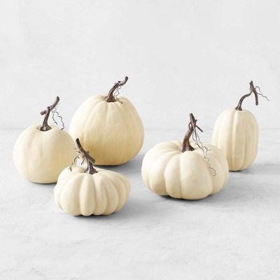 Full Moon Faux Pumpkin Collection, Set of 5 | Williams-Sonoma