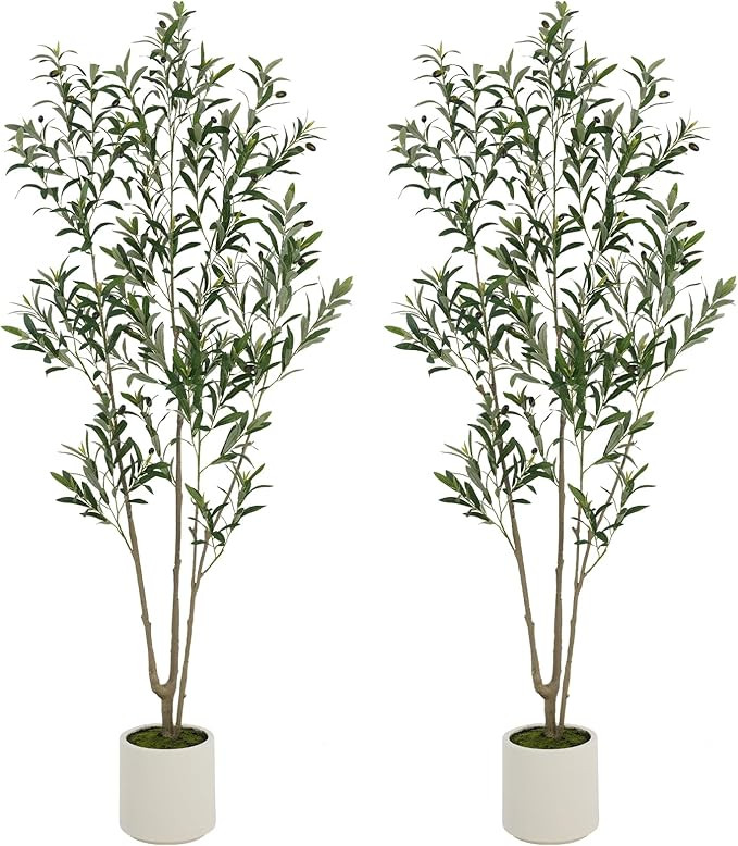 ROOMTEC 2 Pack Artificial Olive Tree 6ft, Faux Olive Tree with White Planter and Fake Moss, Olive... | Amazon (US)