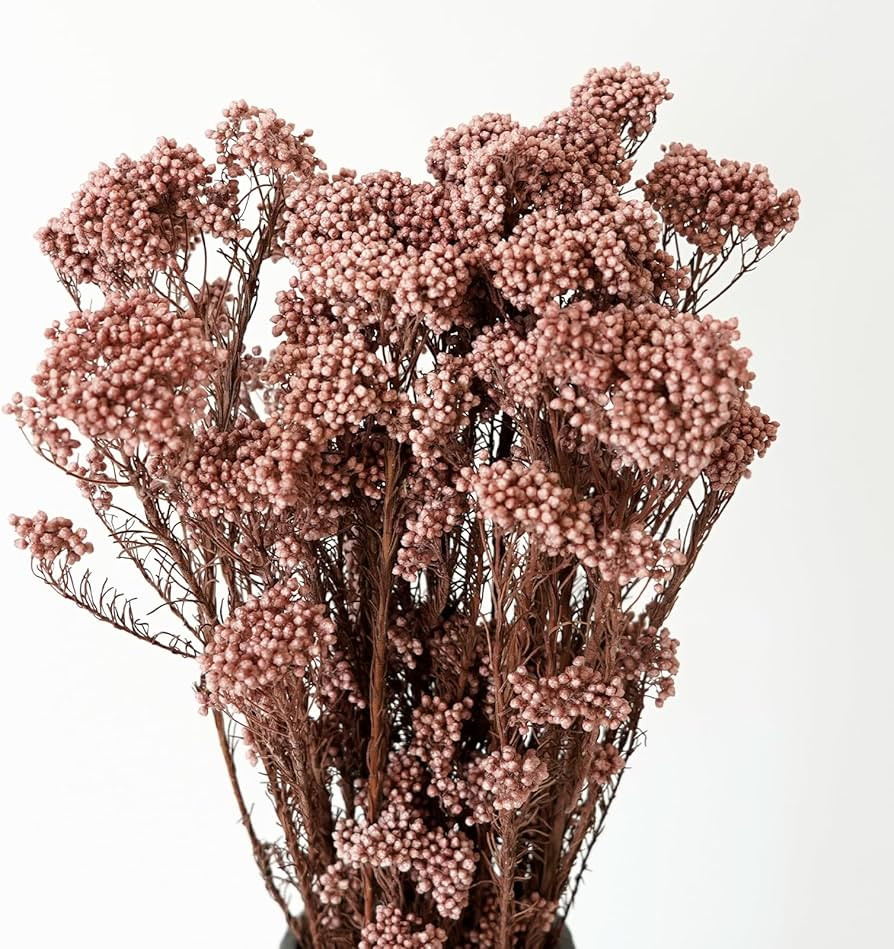 Natural Preserved Millet Flowers Dried Bouquet Flowers and Plants Arrangements for Home and Weddi... | Amazon (US)