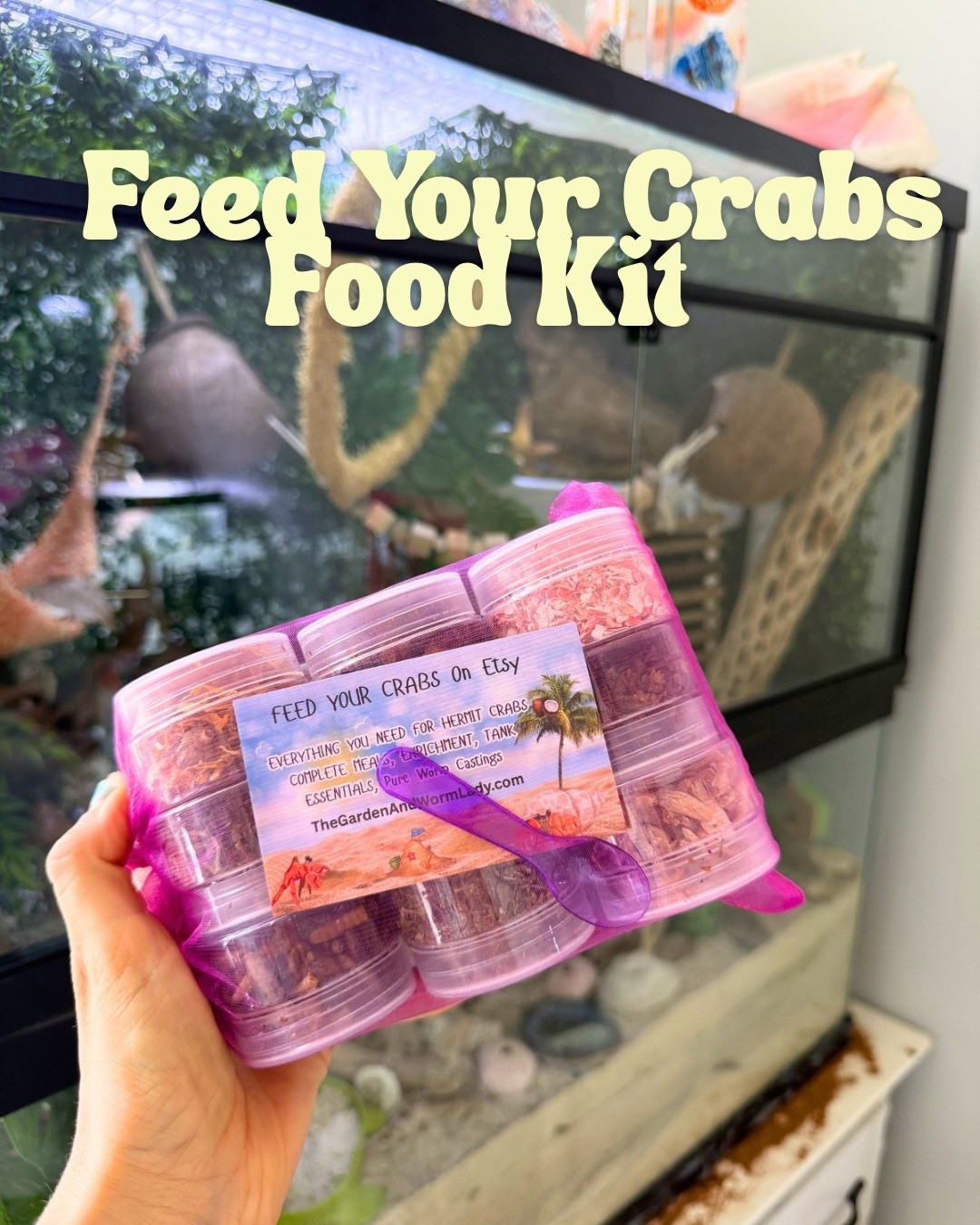 Hermit crab feeding kit