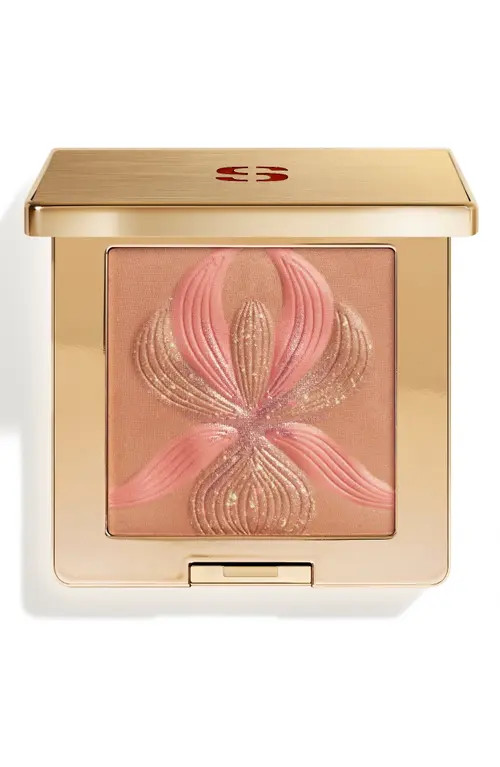 Sisley Paris L'Orchidée Highlighter Blush in 1 Bronze at Nordstrom | Nordstrom