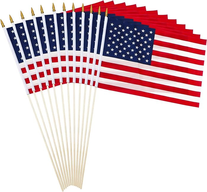 Anley Pack of 12 USA Stick Flag - 18" x 12" Handheld America Gravemarker Stick Flags - July 4th D... | Amazon (US)