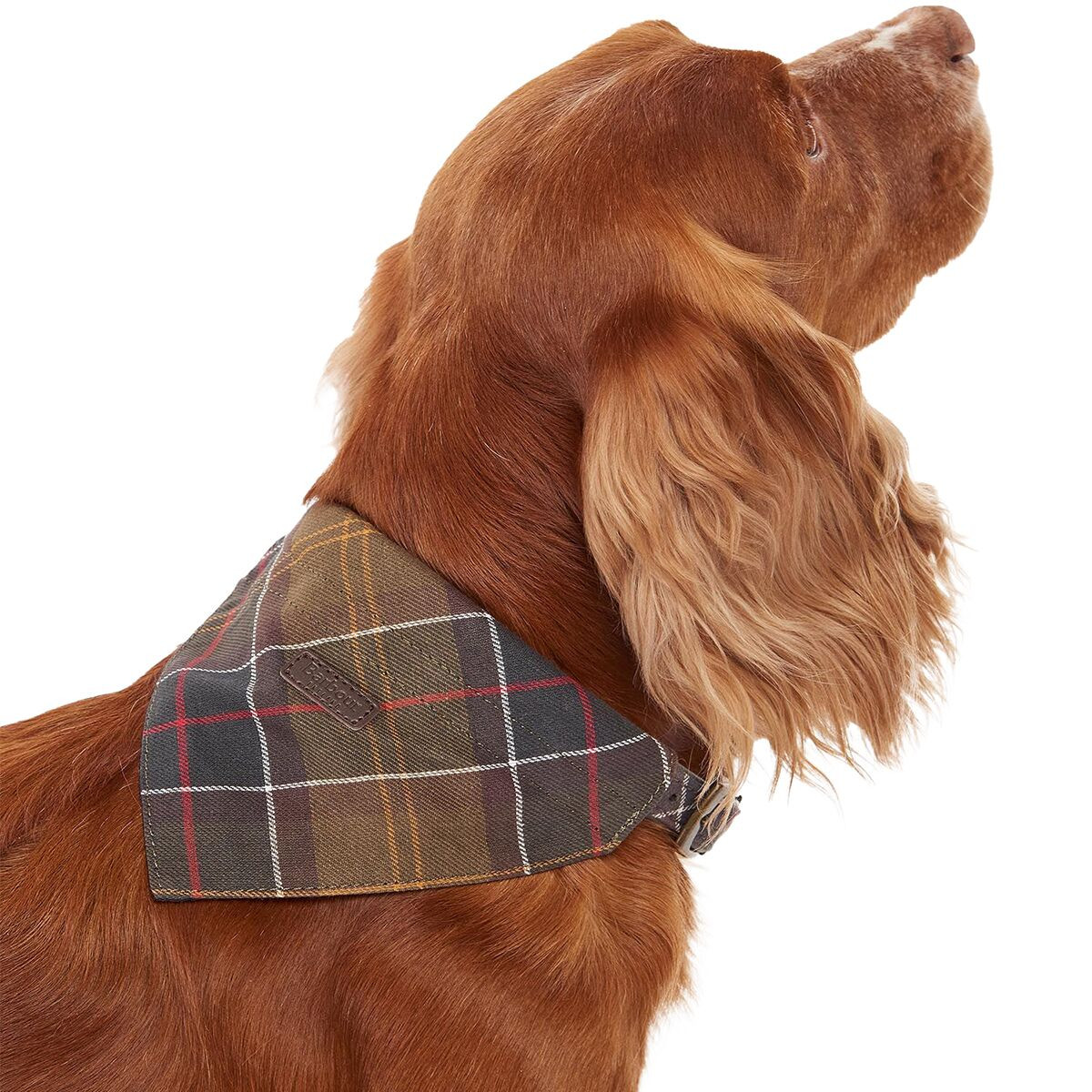 Tartan Bandana | Backcountry