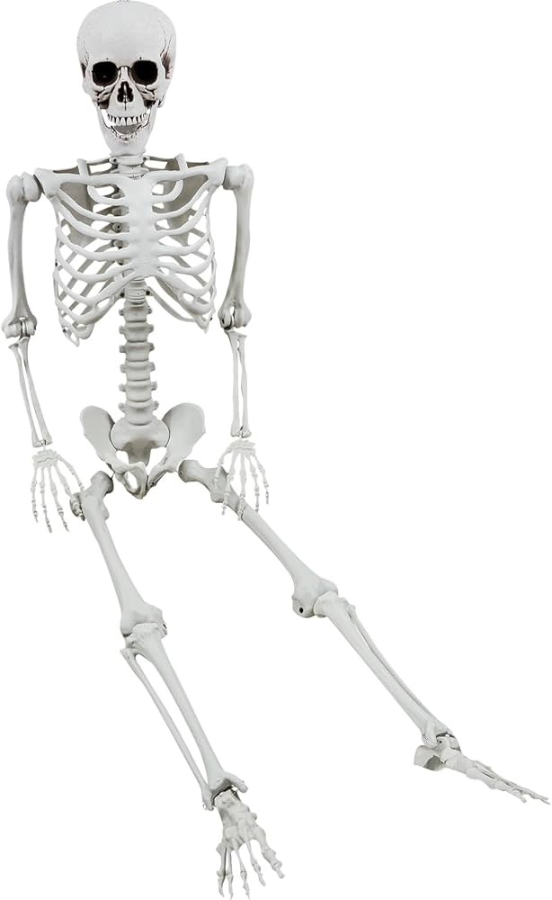 XONOR 5.4ft/165cm Halloween Posable Skeleton - Realistic Human Skeletons Full Body Bones with Mov... | Amazon (UK)