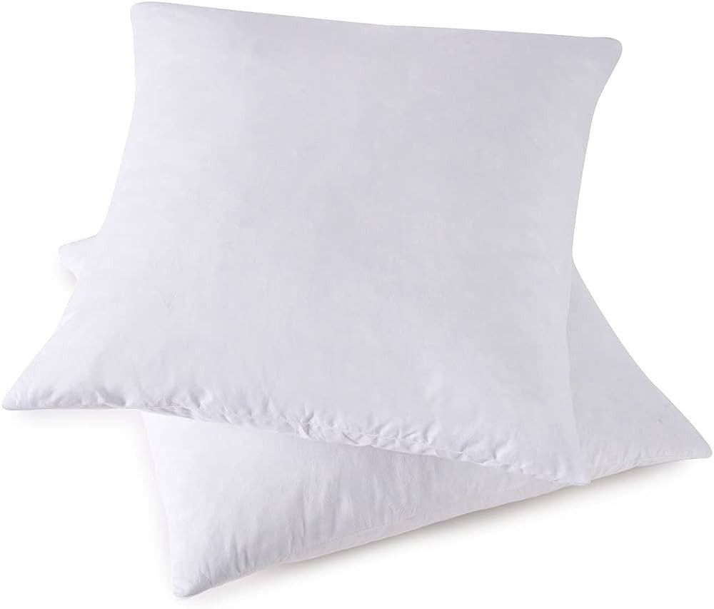 HOMESJUN Throw Pillow Inserts, Set of 2 Down Feather Pillows Amazon Finds Amazon Deals Amazon Sales | Amazon (US)