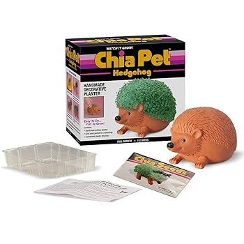 Chia Pet Hedgehog with Seed Pack, Decorative Pottery Planter, Easy to Do and Fun to Grow, Novelty... | Amazon (US)