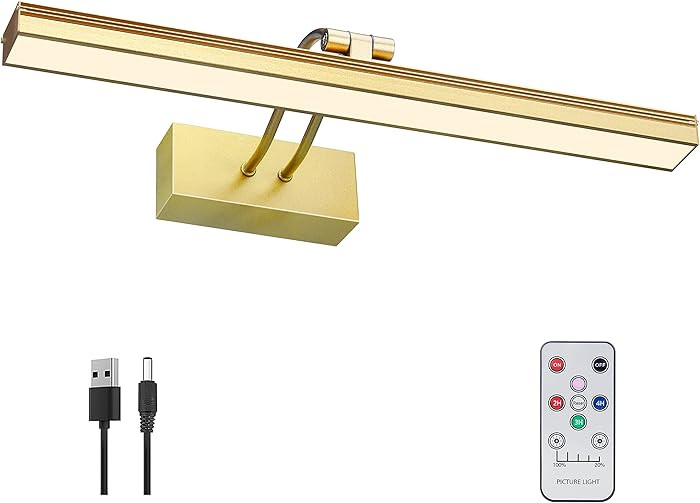 FUNCHDAY Picture Light,Battery Operated Art Lights for Wall,Wireless Remote Painting Light with T... | Amazon (US)