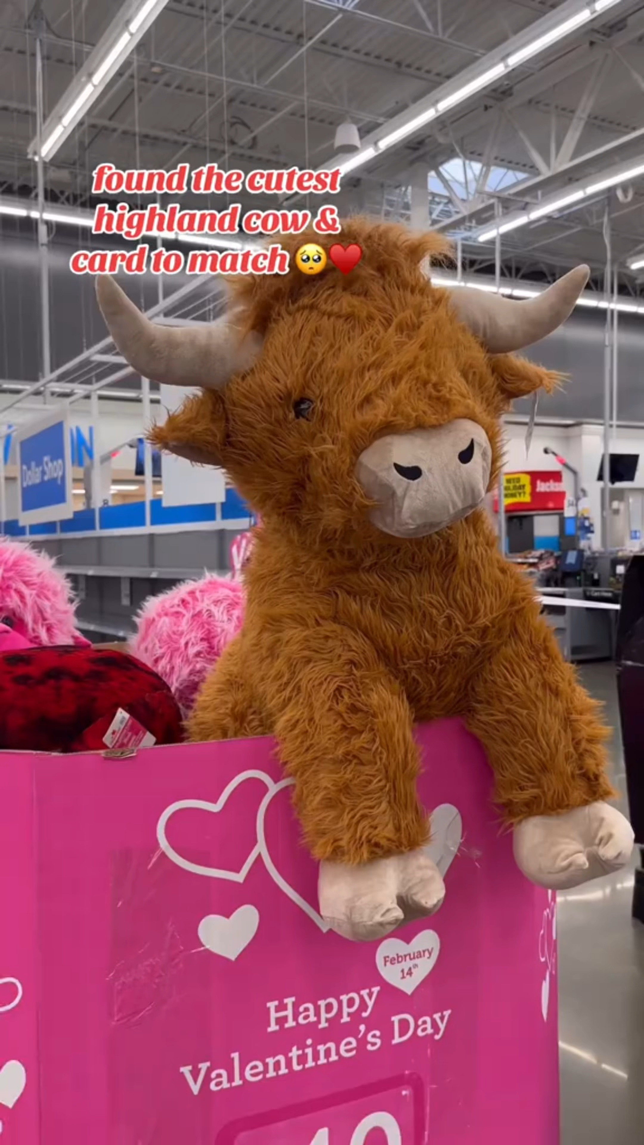Linked him so you can see which stores have him, he’s not online yet and some similar smaller options for the highland cow! 🤍 #walmart #walmartfinds #amazon #amazonfinds

#LTKBaby #LTKKids #LTKGiftGuide
