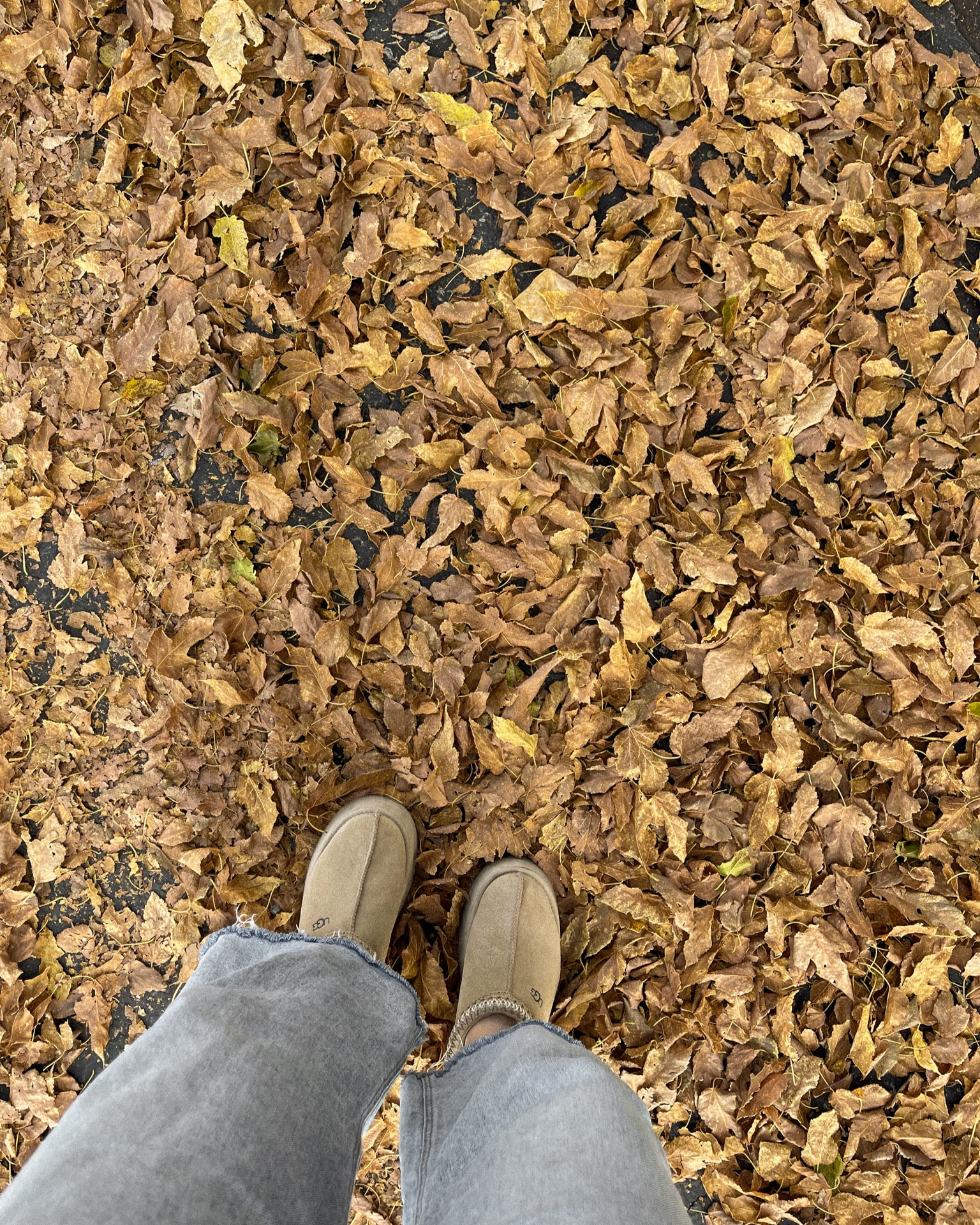 my most loved shoe at the moment — ugg in mustard seed. sold out on uggs website but here are some other options

#LTKshoecrush #LTKMostLoved