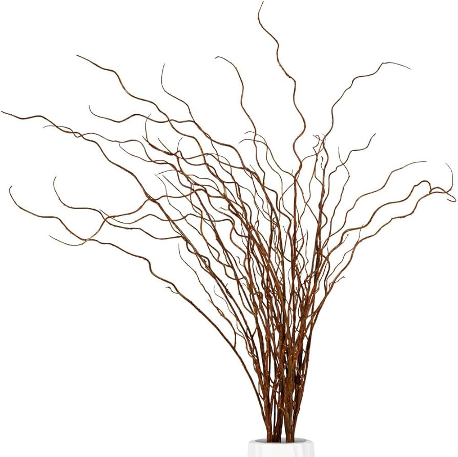 Artificial Plants Faux Greenery Eucalyptus Stems,Faux Branches for Vase Filler,Artificial Ficus T... | Amazon (US)