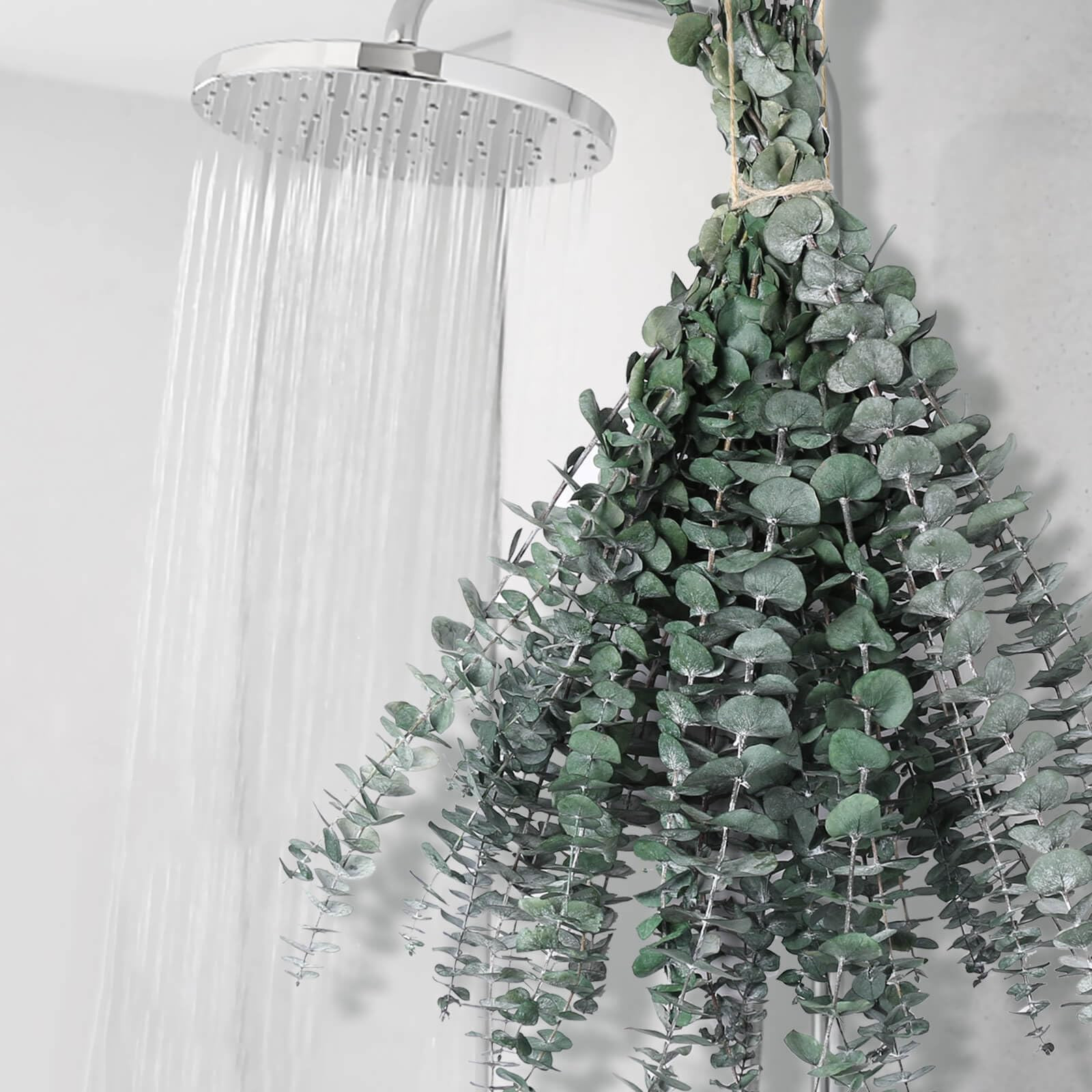 12 PCS Dried Eucalyptus Stems for Shower - 17" Preserved Eucalyptus Stems Shower Plant, Fresh Rea... | Amazon (US)