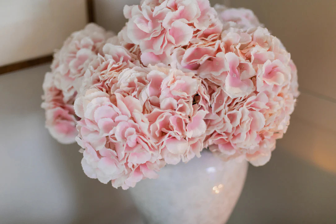 BLUSH HYDRANGEA STEM (5 HEADS) | The Crowded Table Co. 