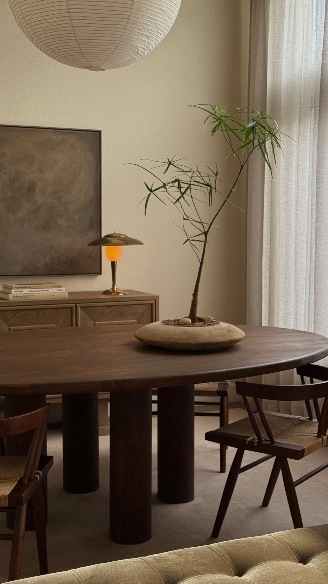 low planter, sand and tree (australian bottleneck)