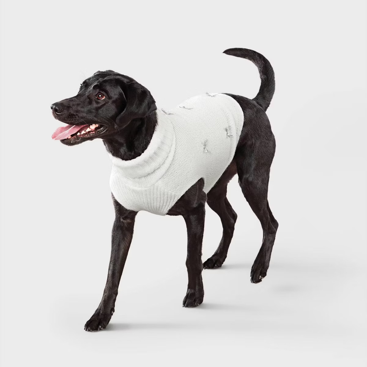 Bows Dog Pullover Sweater - Boots & Barkley™ M | Target